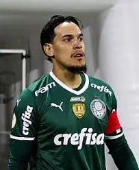palmeiras