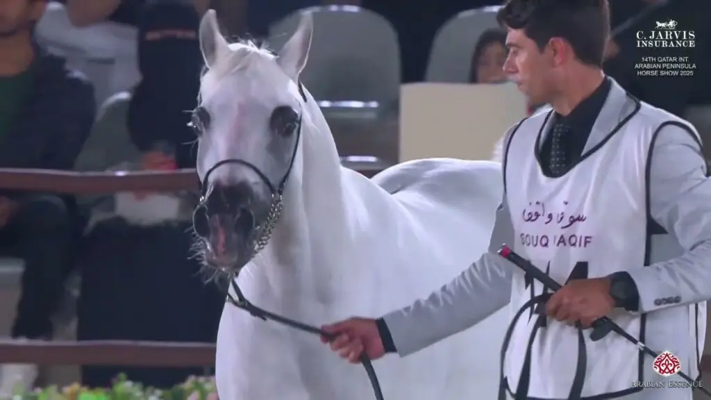 al nasr