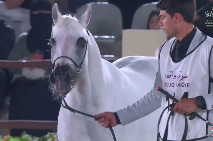 al nasr