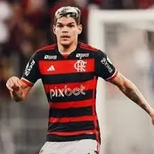 ayrton lucas