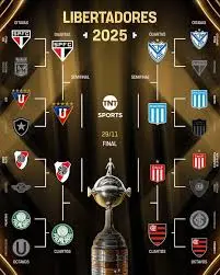 copa libertadores 2025