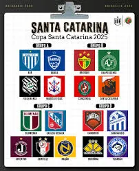 copa santa catarina