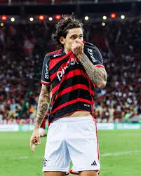flamengo pedro