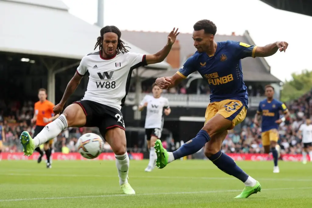 newcastle x fulham