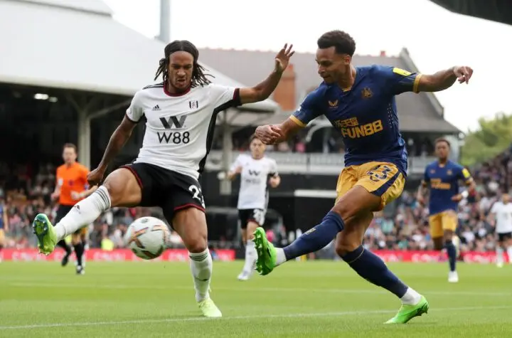 newcastle x fulham