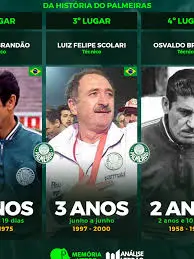 palmeira hoje