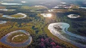 pantanal