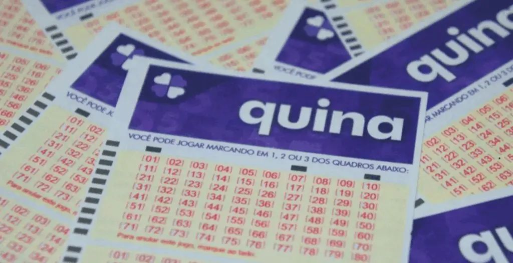 quina 6861