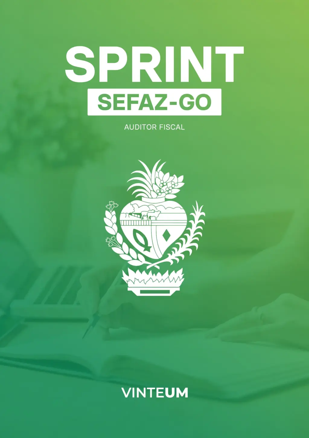 sefaz go