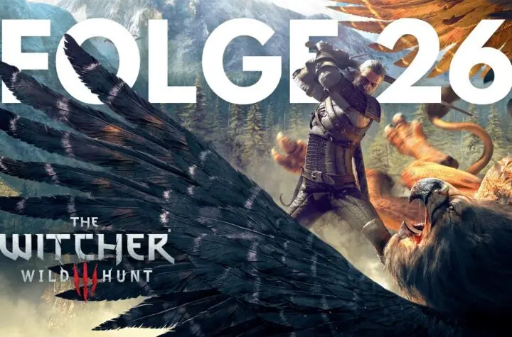 the witcher