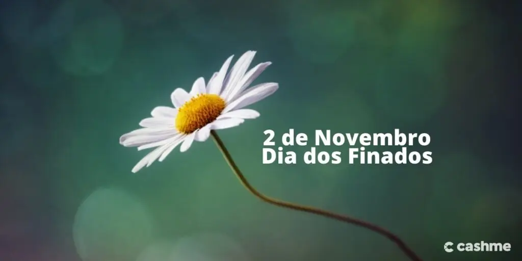 2 de novembro