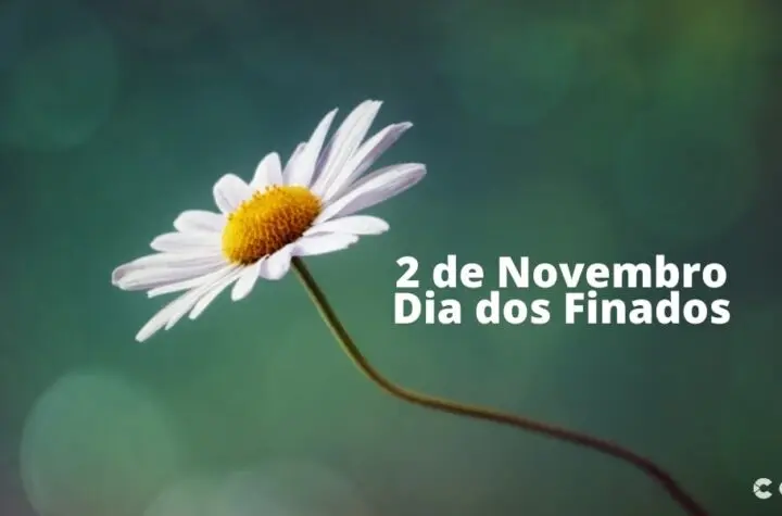 2 de novembro
