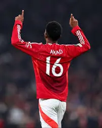 amad diallo