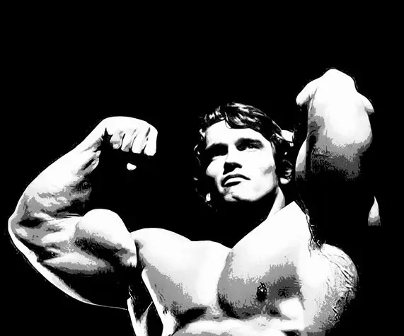arnold schwarzenegger