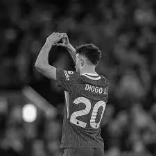 diogo jota
