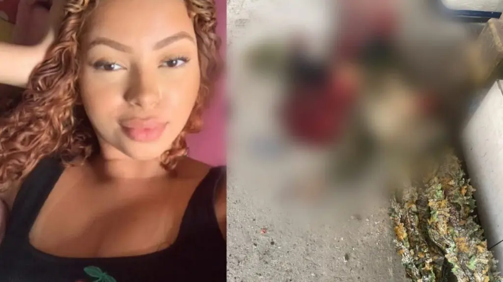 japinha do cv morreu ou n o
