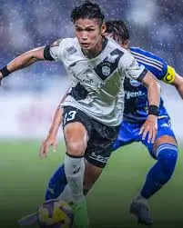 machida zelvia