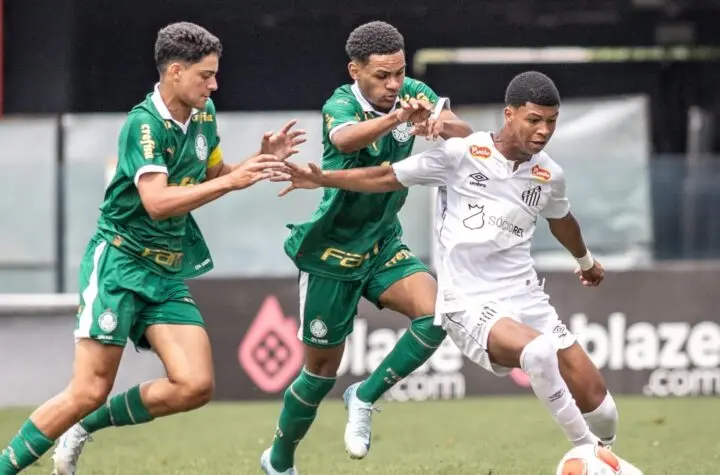 santos x palmeiras