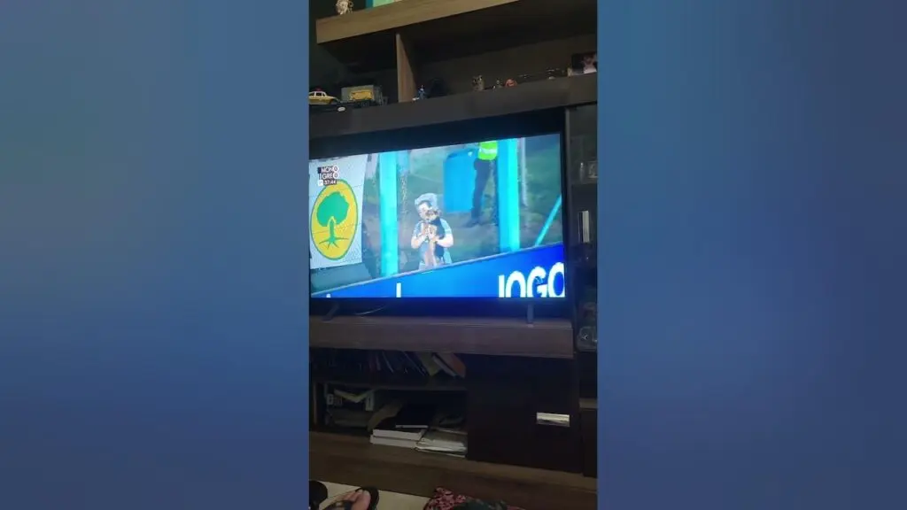 29 de janeiro
