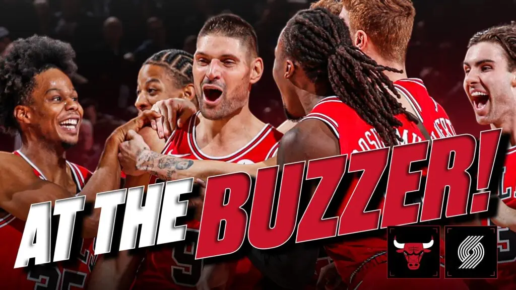 chicago bulls