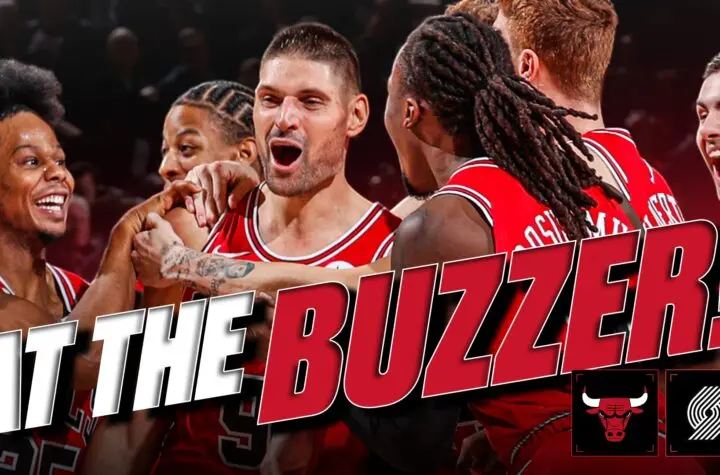 chicago bulls