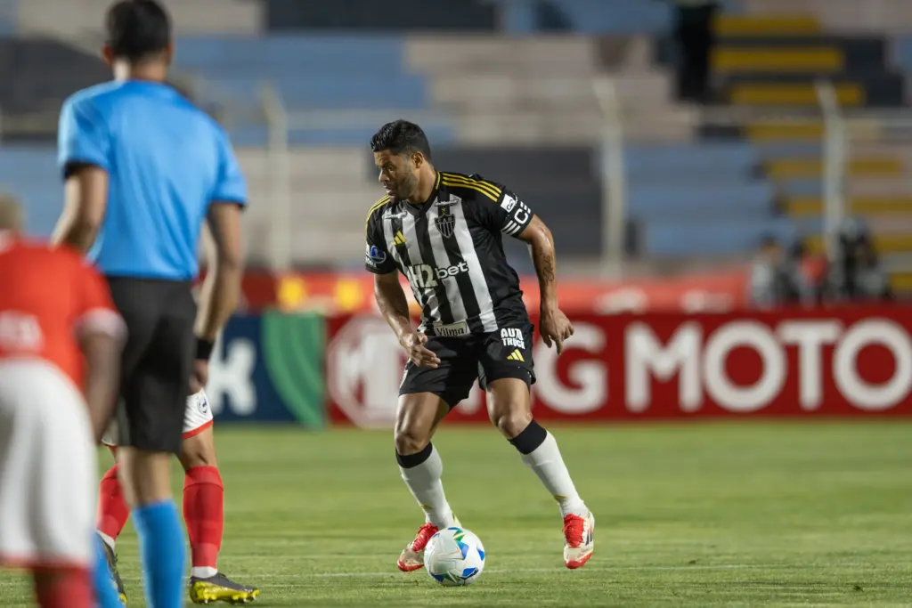 jogo do galo