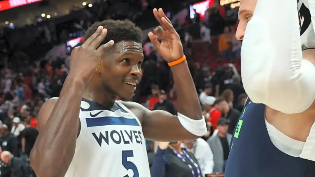 minnesota timberwolves