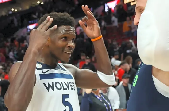 minnesota timberwolves