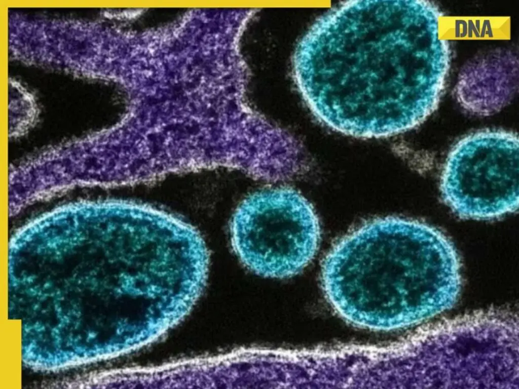 novo virus india