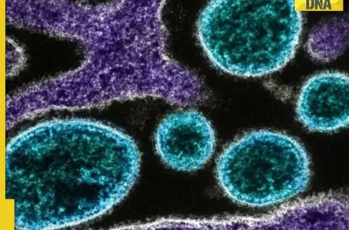 novo virus india