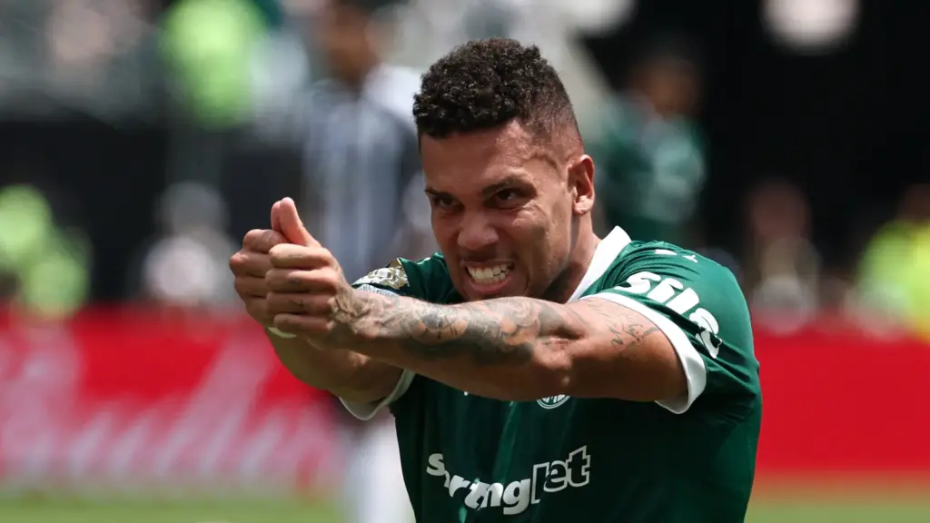 paulinho palmeiras