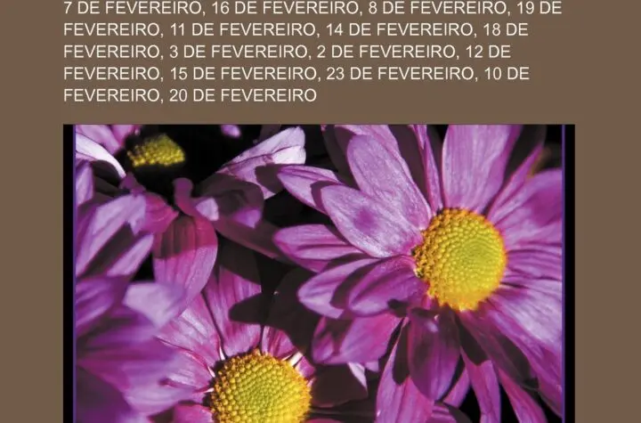 11 de fevereiro