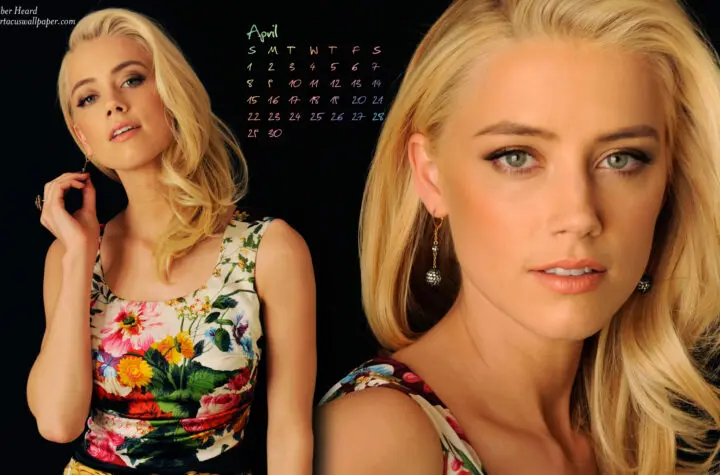 amber heard