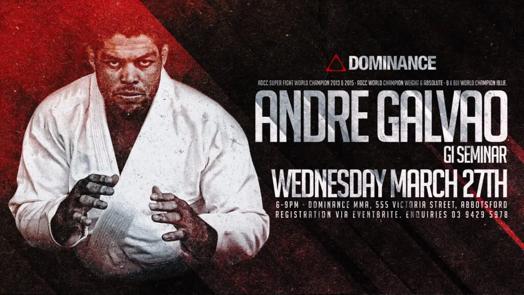 andre galvao