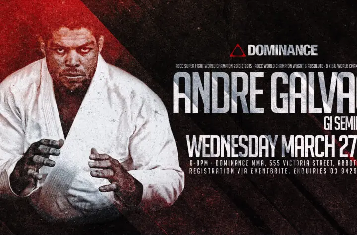 andre galvao