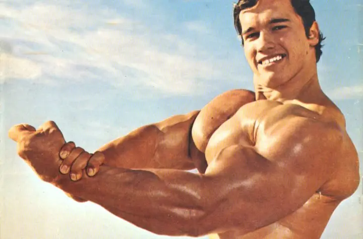 arnold schwarzenegger