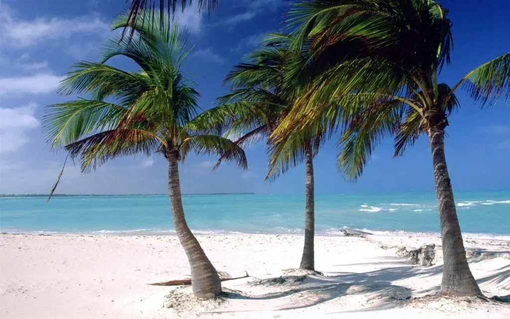 bahamas