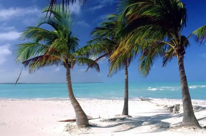 bahamas