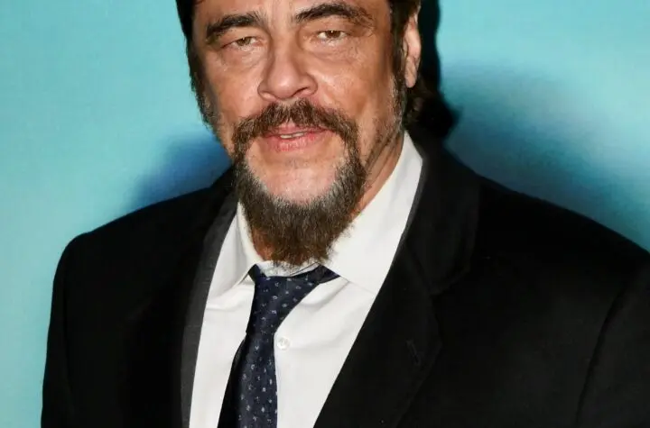 benicio del toro