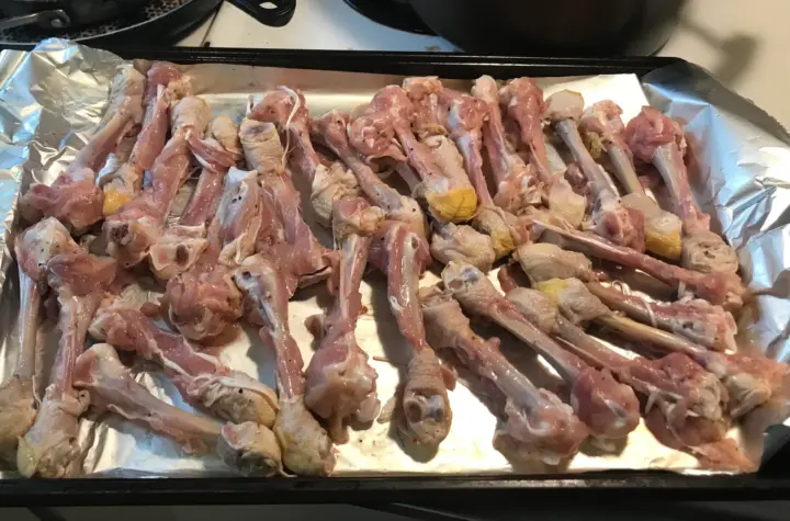 bones