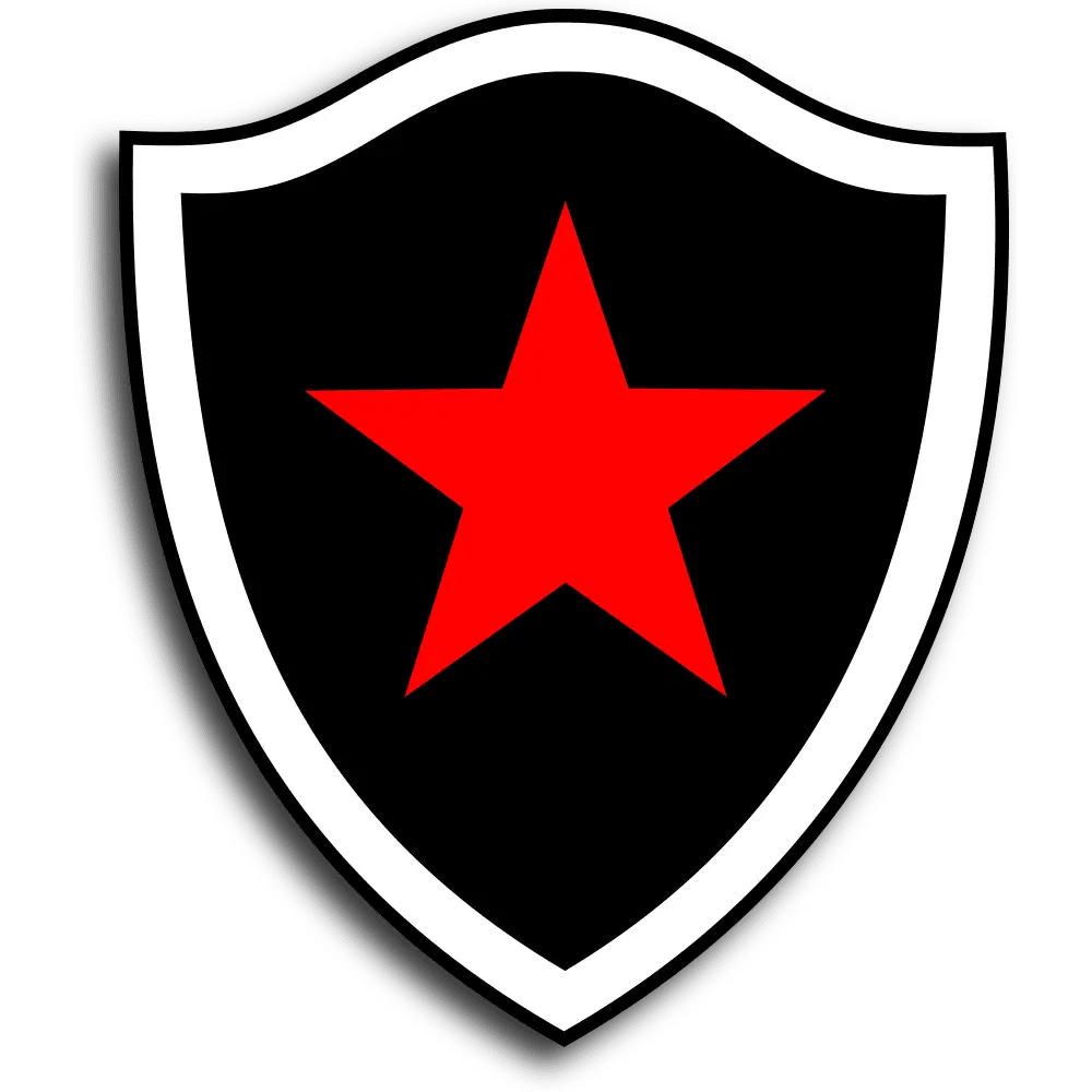 botafogo futebol clube