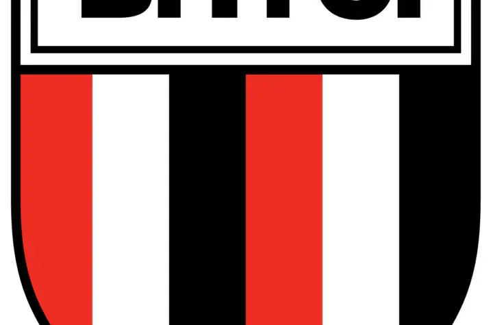 botafogo sp x capivariano 4