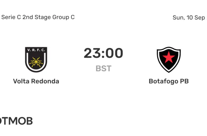 botafogo x volta redonda