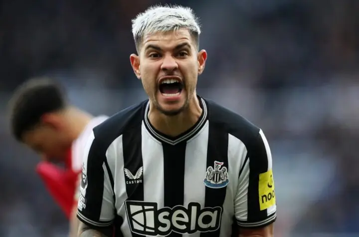 bruno guimar es
