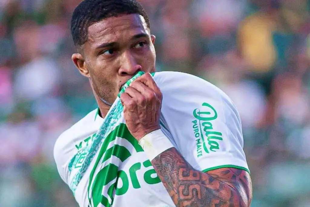 brusque x chapecoense