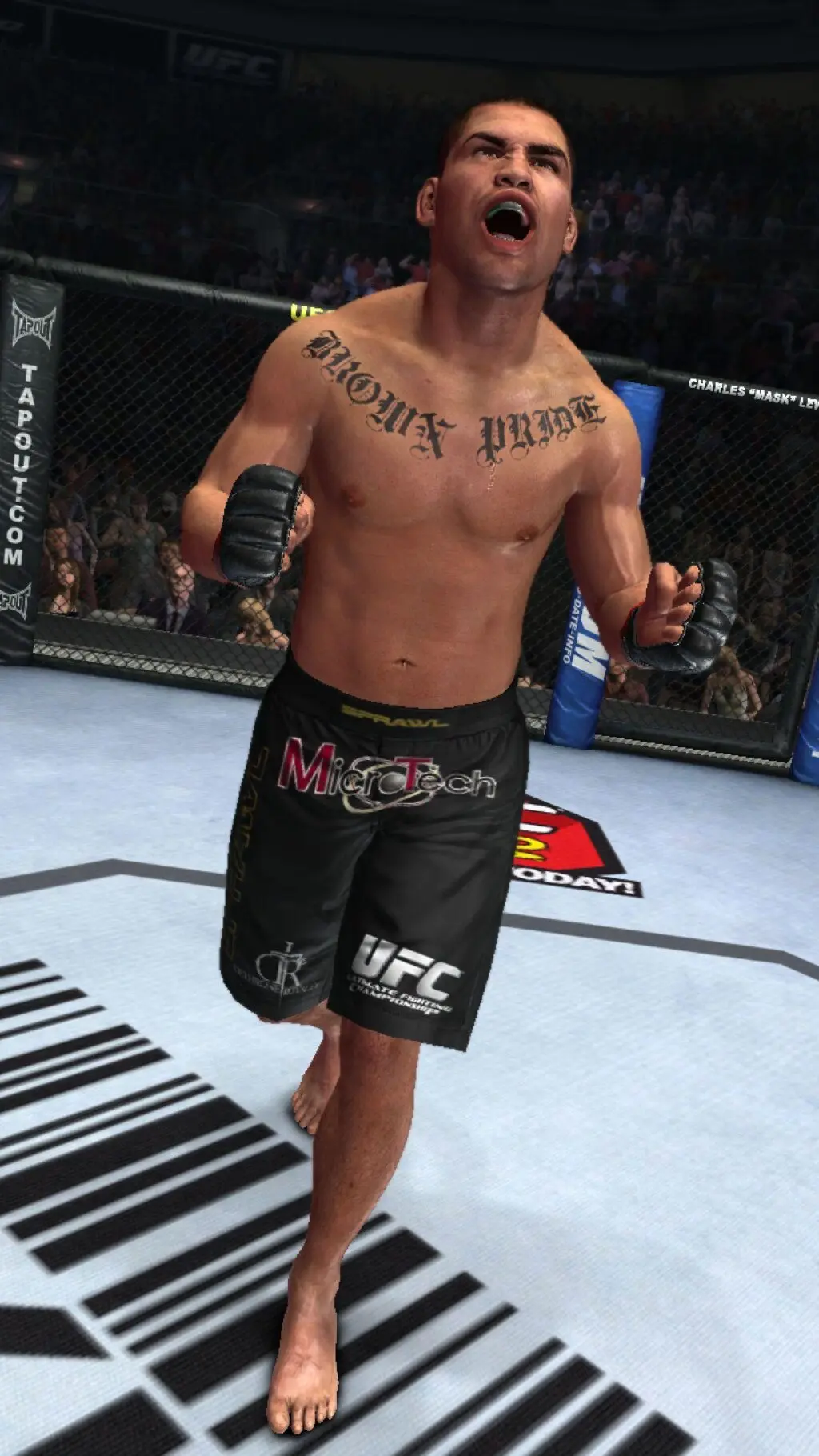 cain velasquez