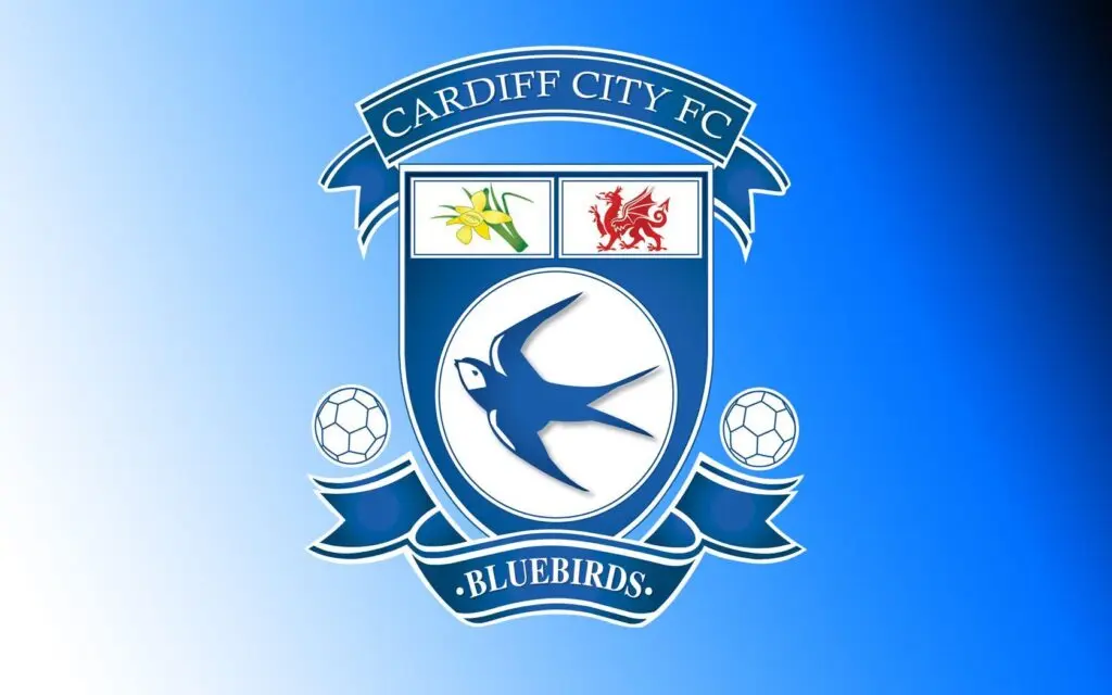 cardiff city