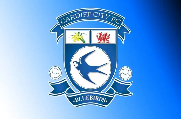 cardiff city