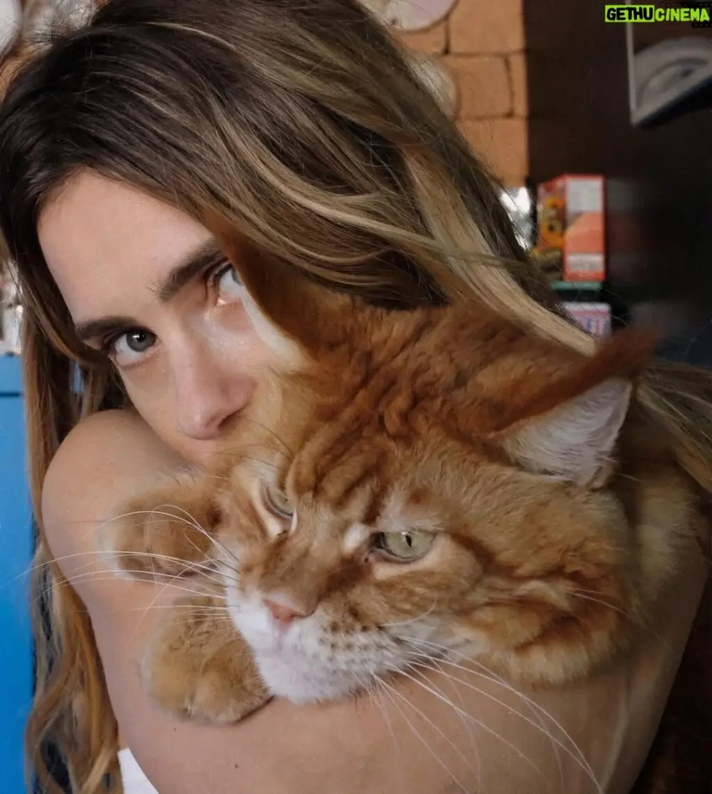 carolina dieckmann