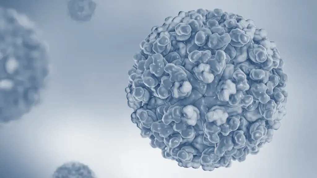 chikungunya — BR news